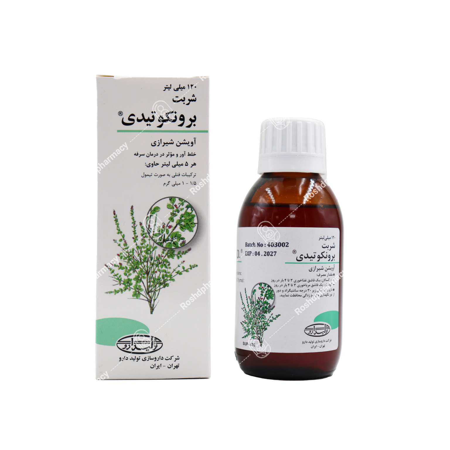 برونکوتیدی